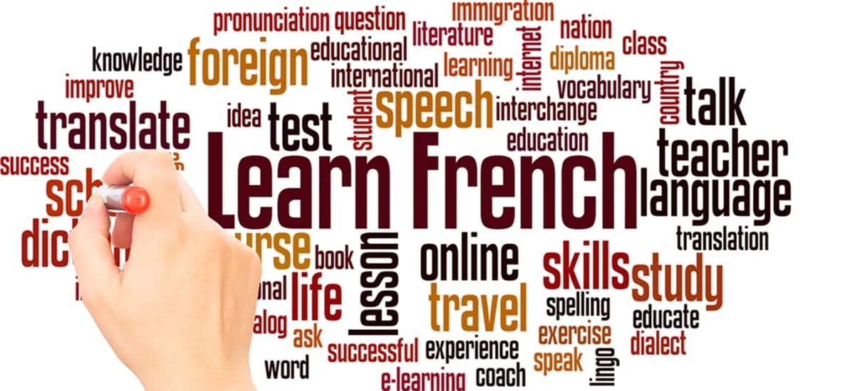 Legalized Translations in French